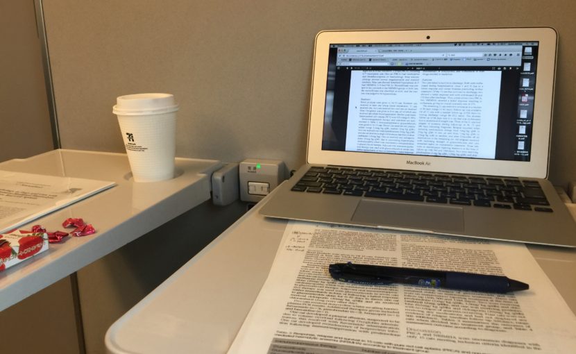 パソコンで論文を勉強している様子