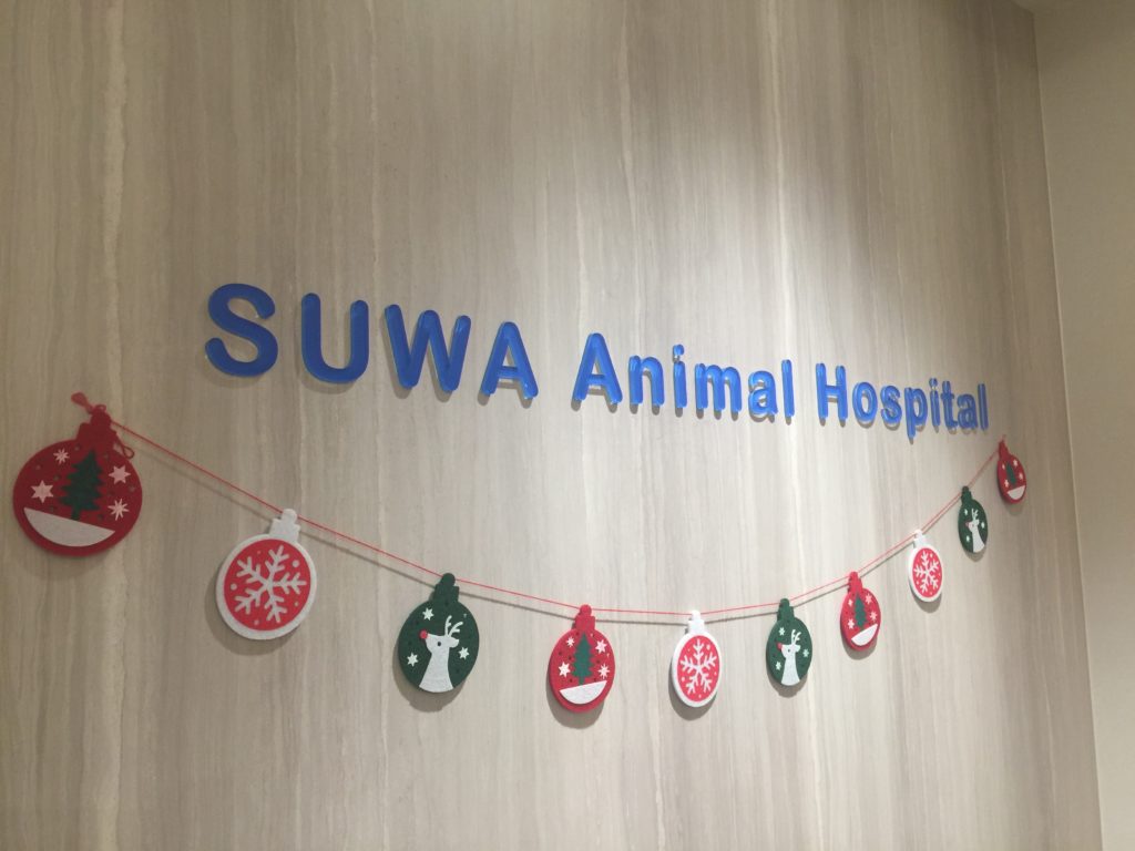 SUWA Animal Hospital