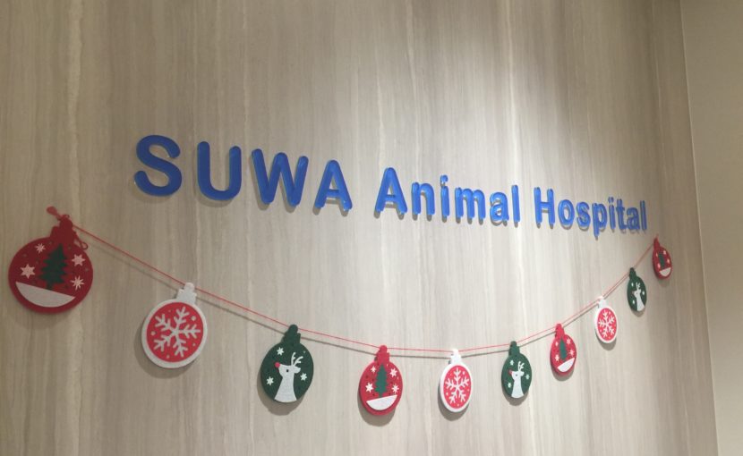 SUWA Animal Hospital