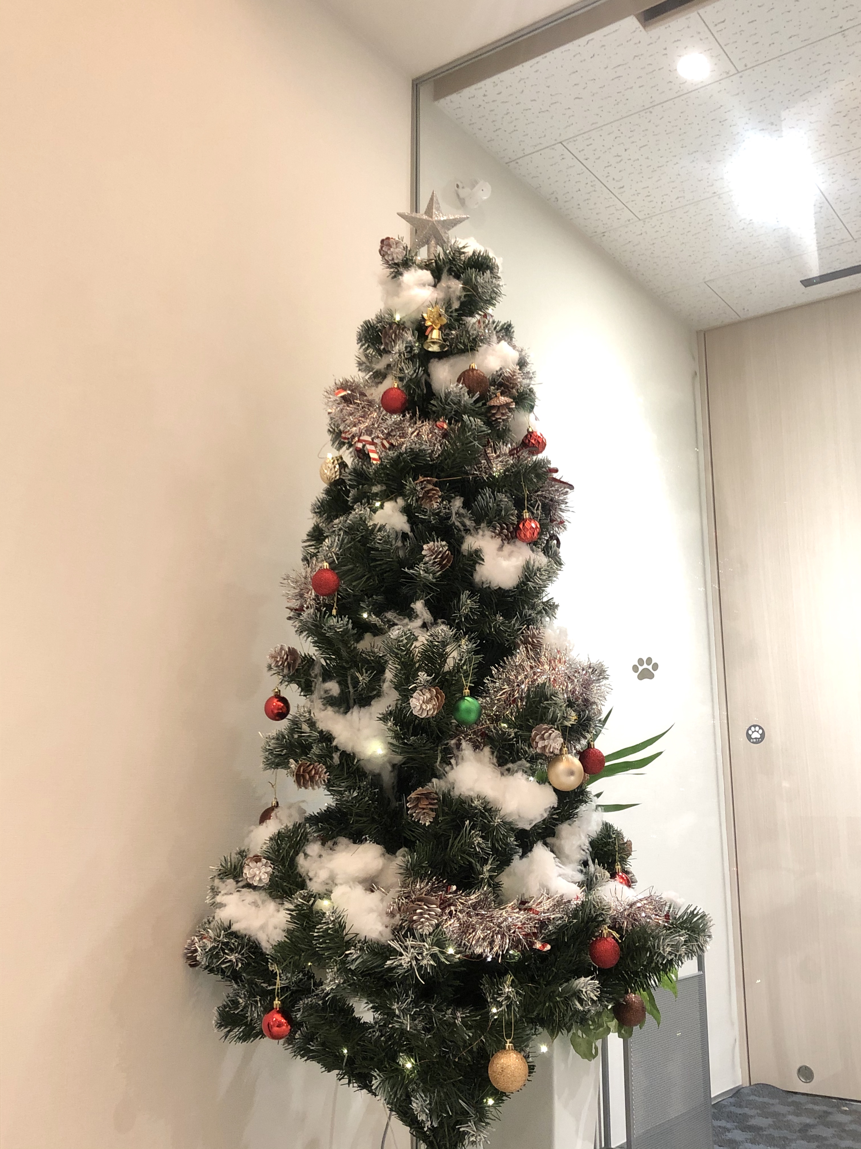 クリスマスツリー