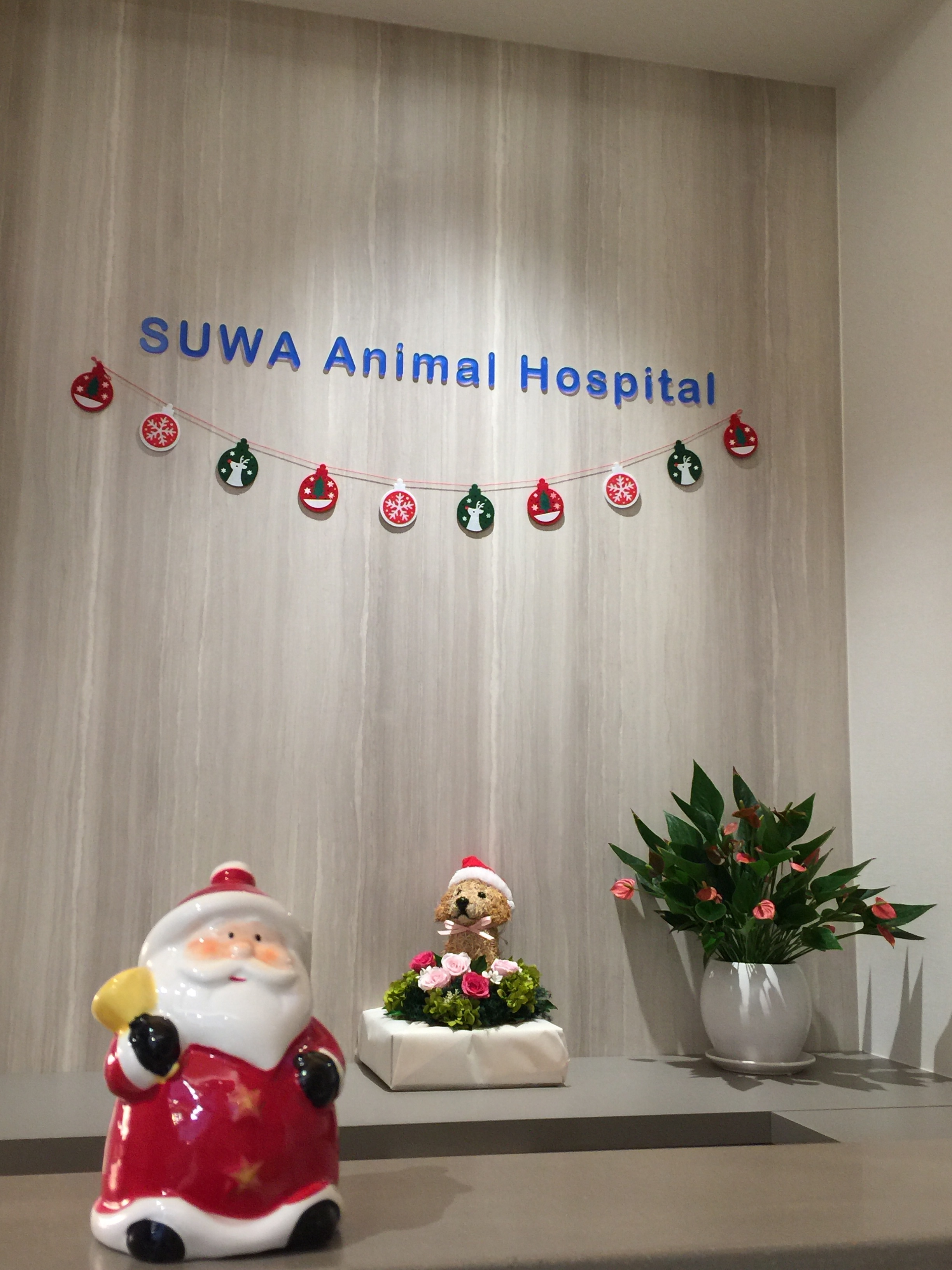 すわ動物病院の名前