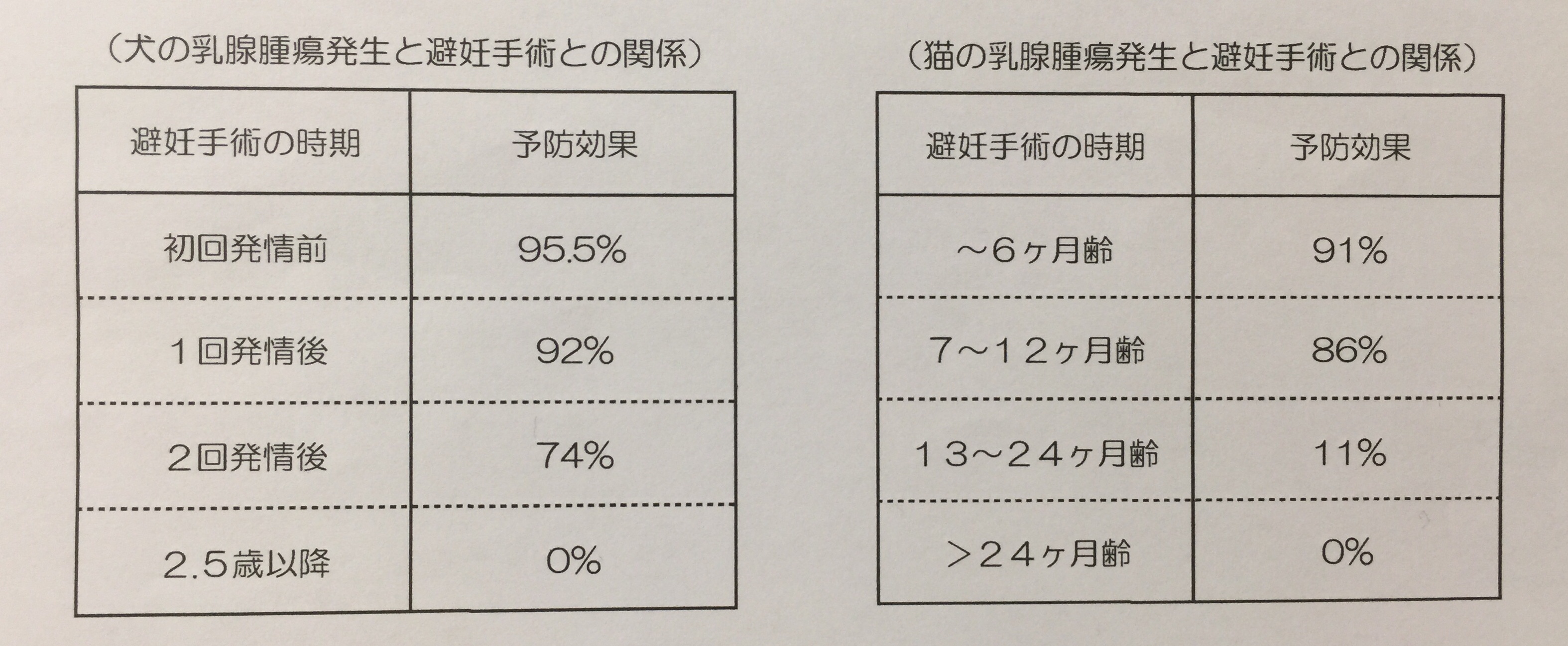 犬と猫の避妊手術と乳腺腫瘍の関係