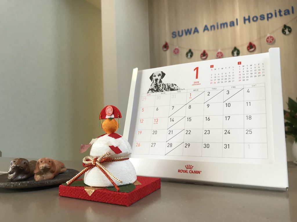 すわ動物病院の正月の受付
