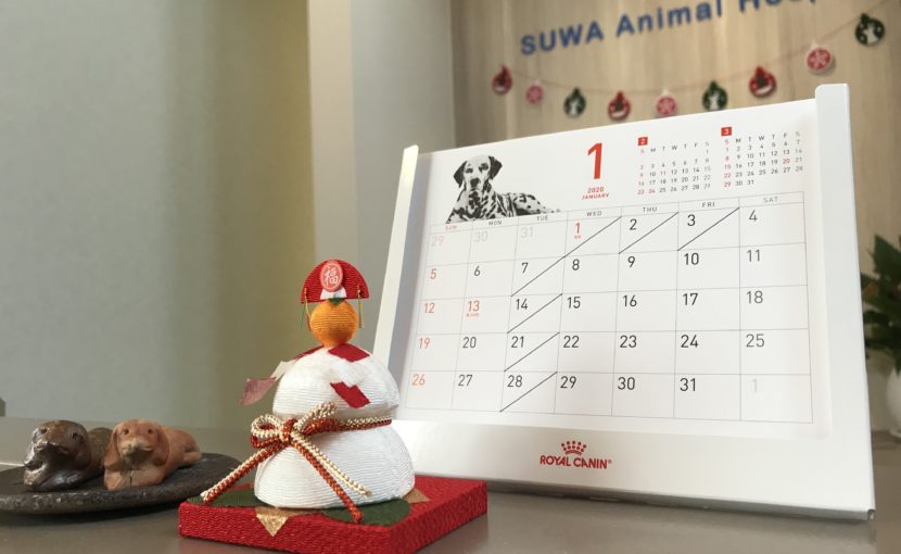 すわ動物病院の正月の受付