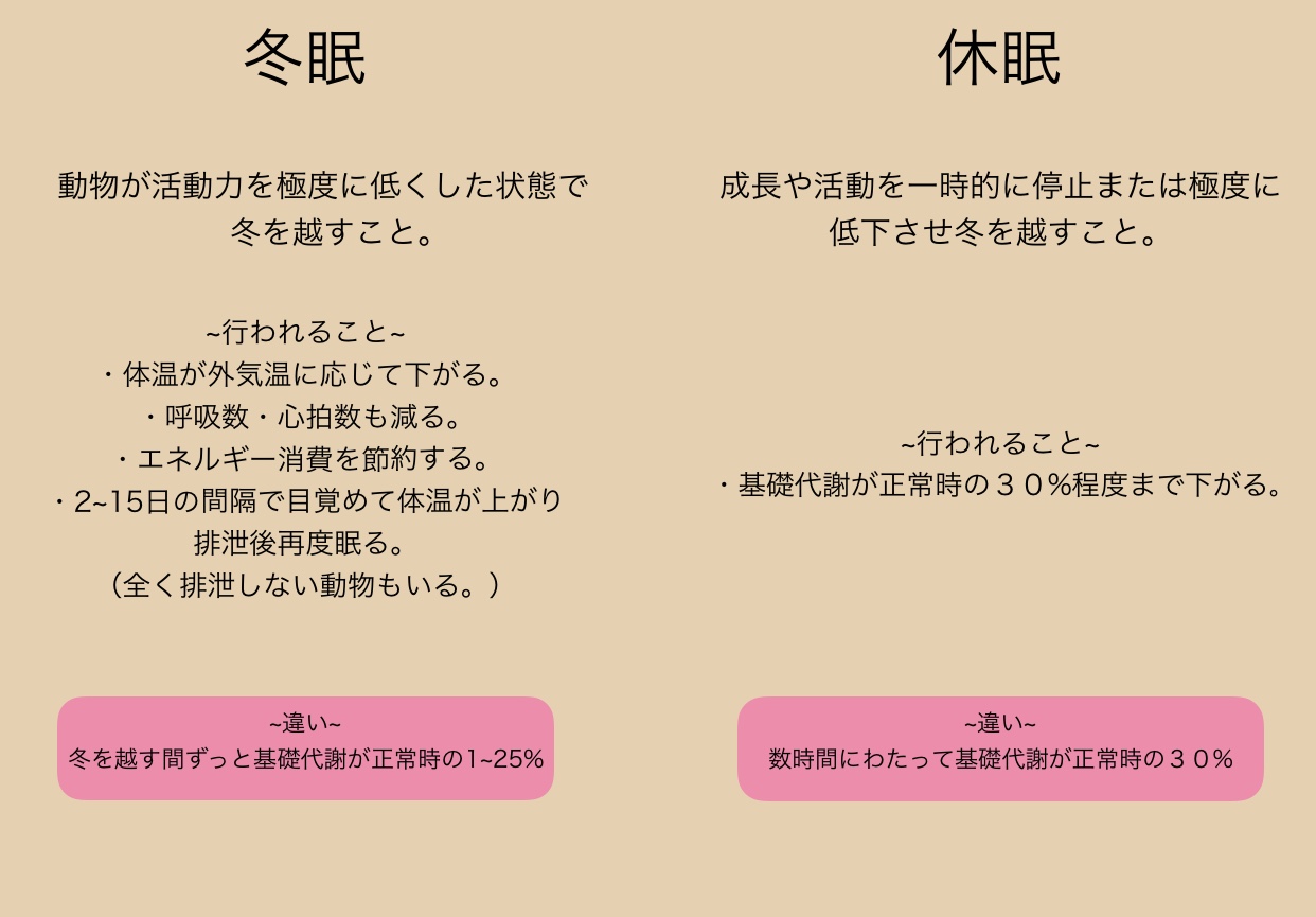 冬眠と休眠の違い