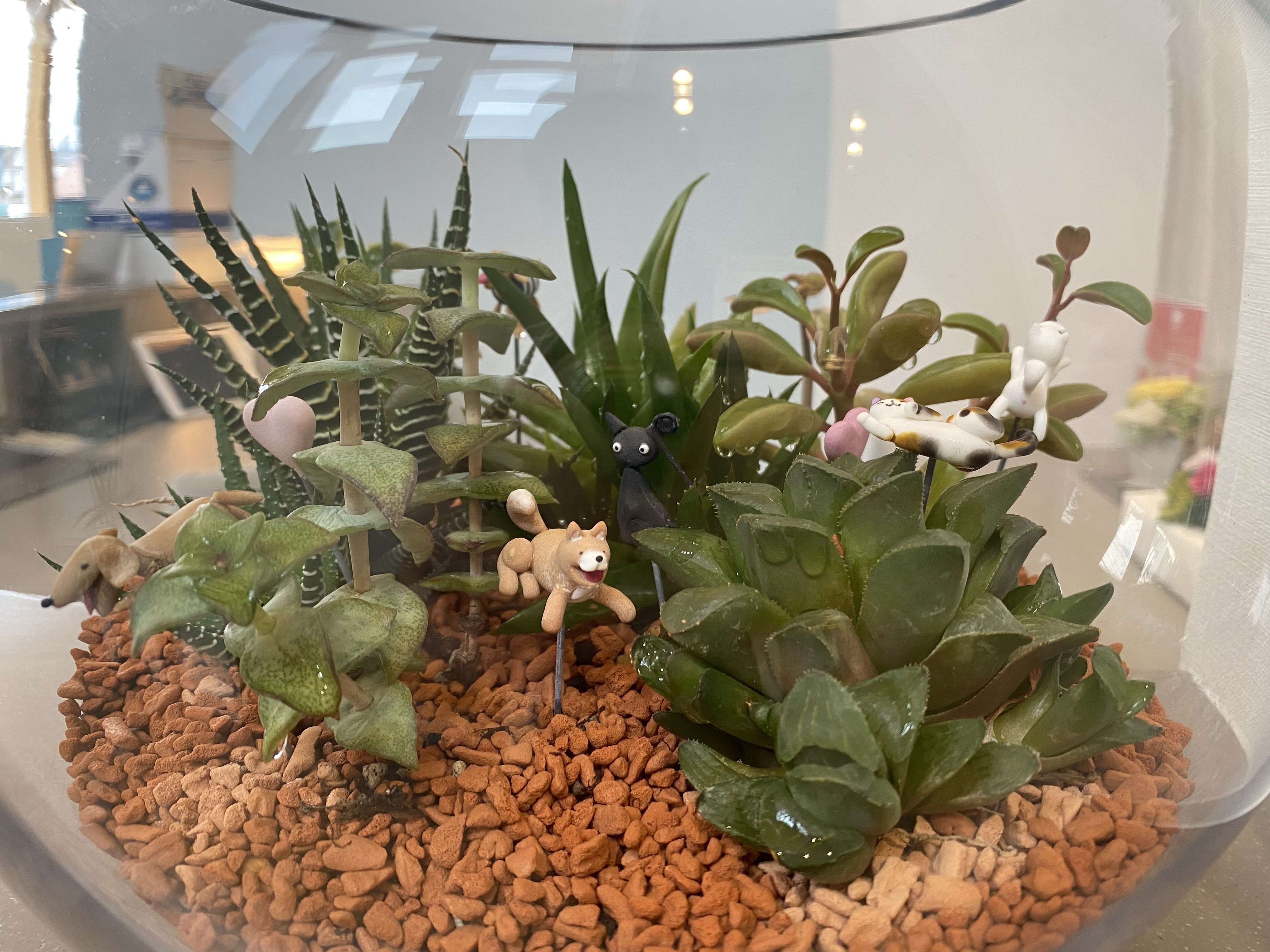 水槽の中の植物