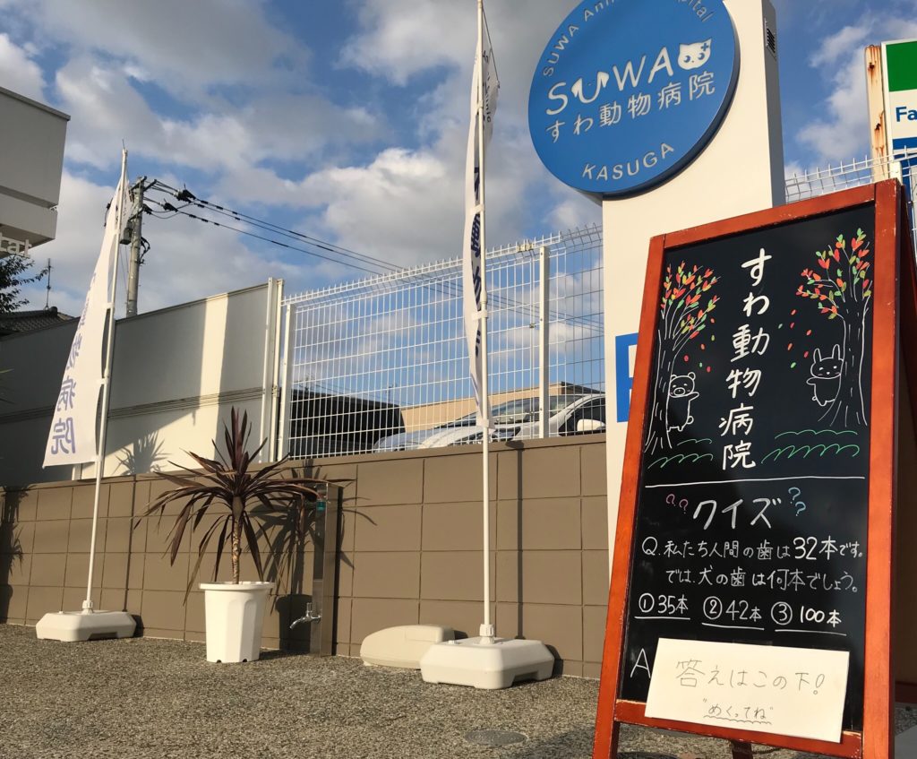 すわ動物病院の外の様子