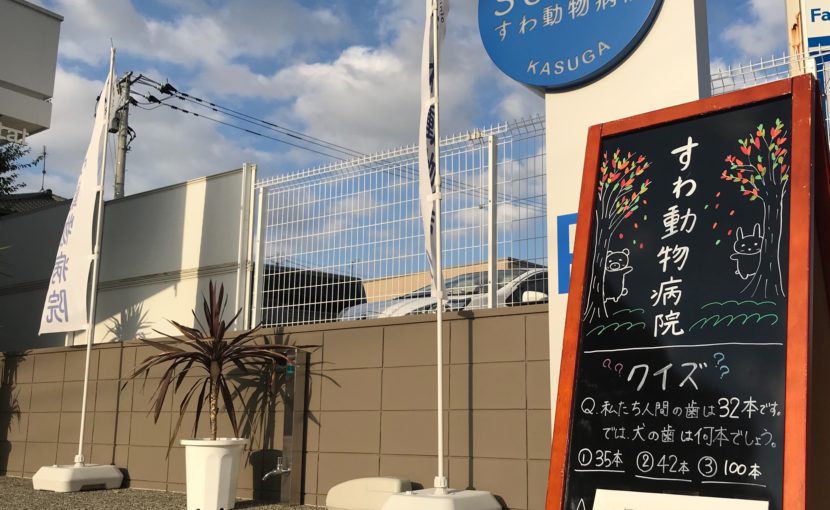 すわ動物病院の外の様子