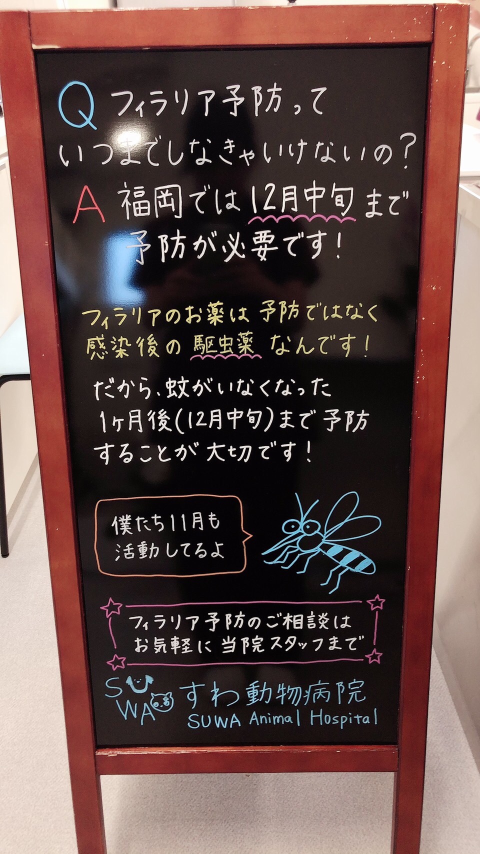 すわ動物病院のフィラリア予防説明