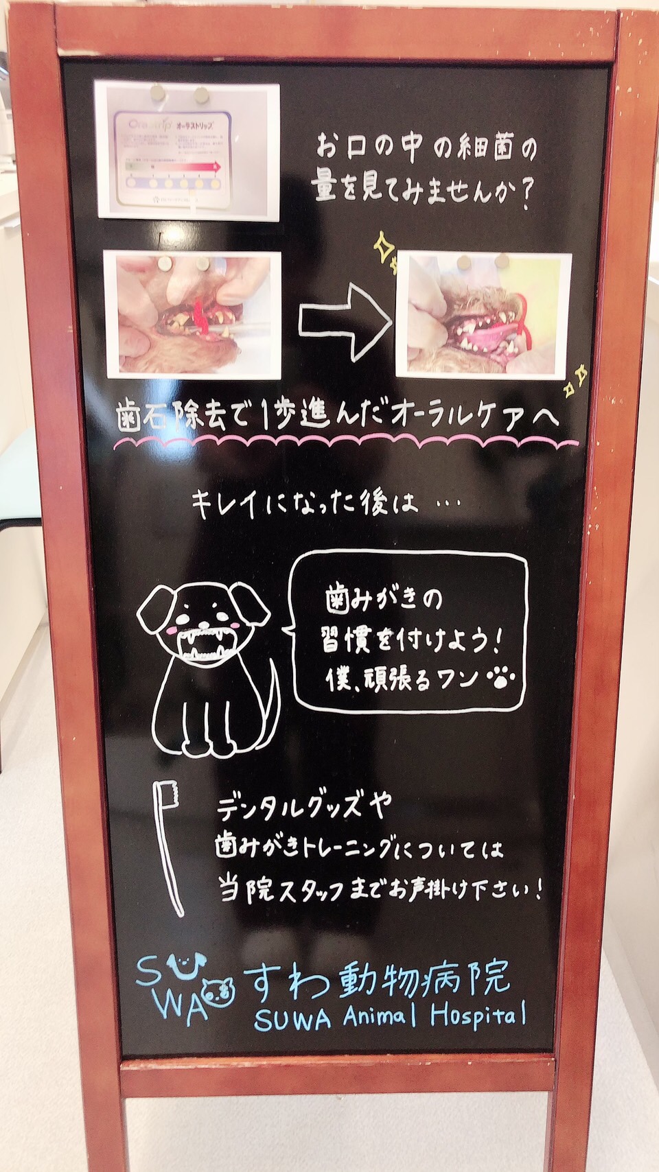 すわ動物病院のオーラルケア