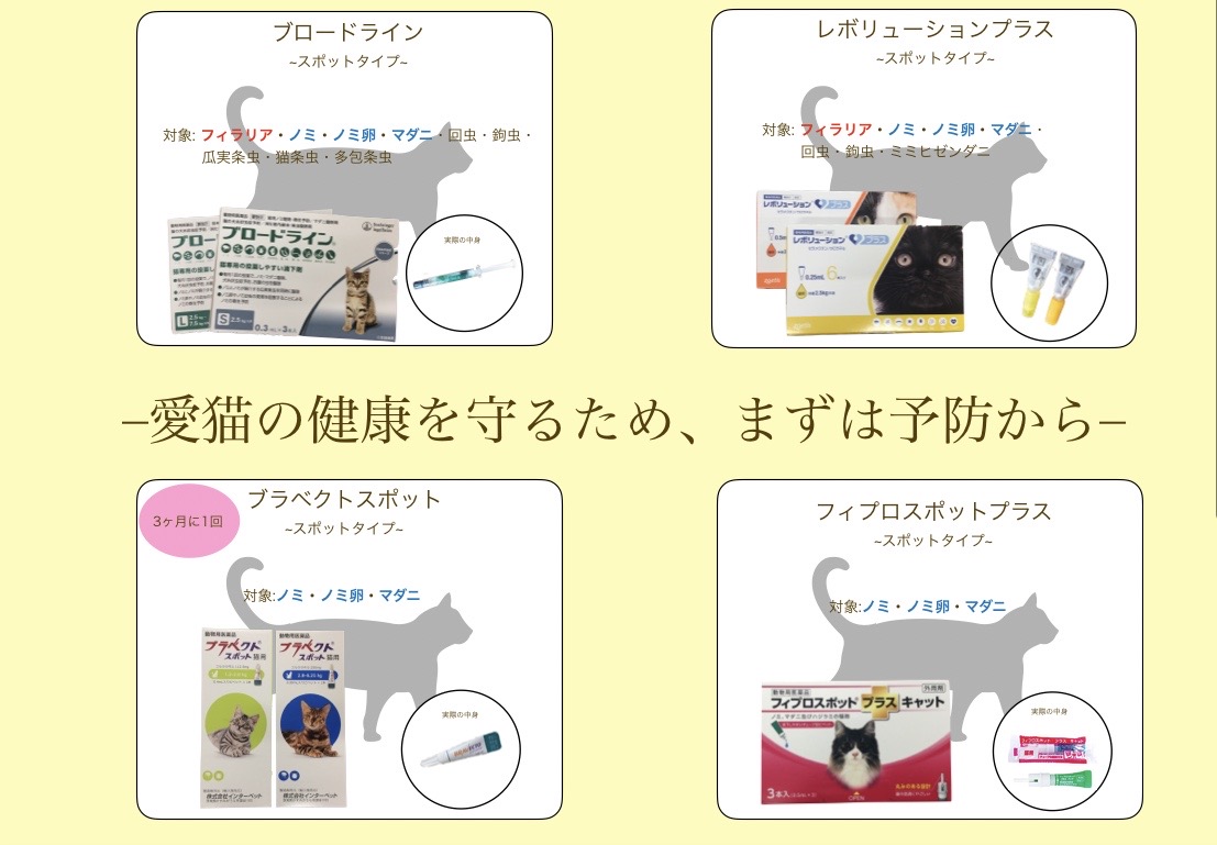 愛猫の健康を守るため、まずは予防から