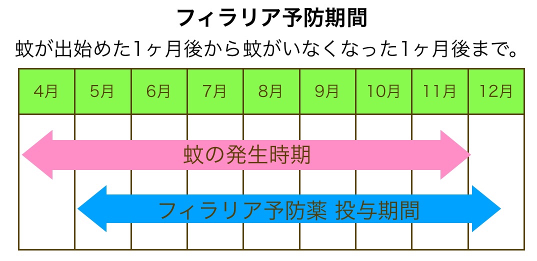 フィラリアの予防期間
