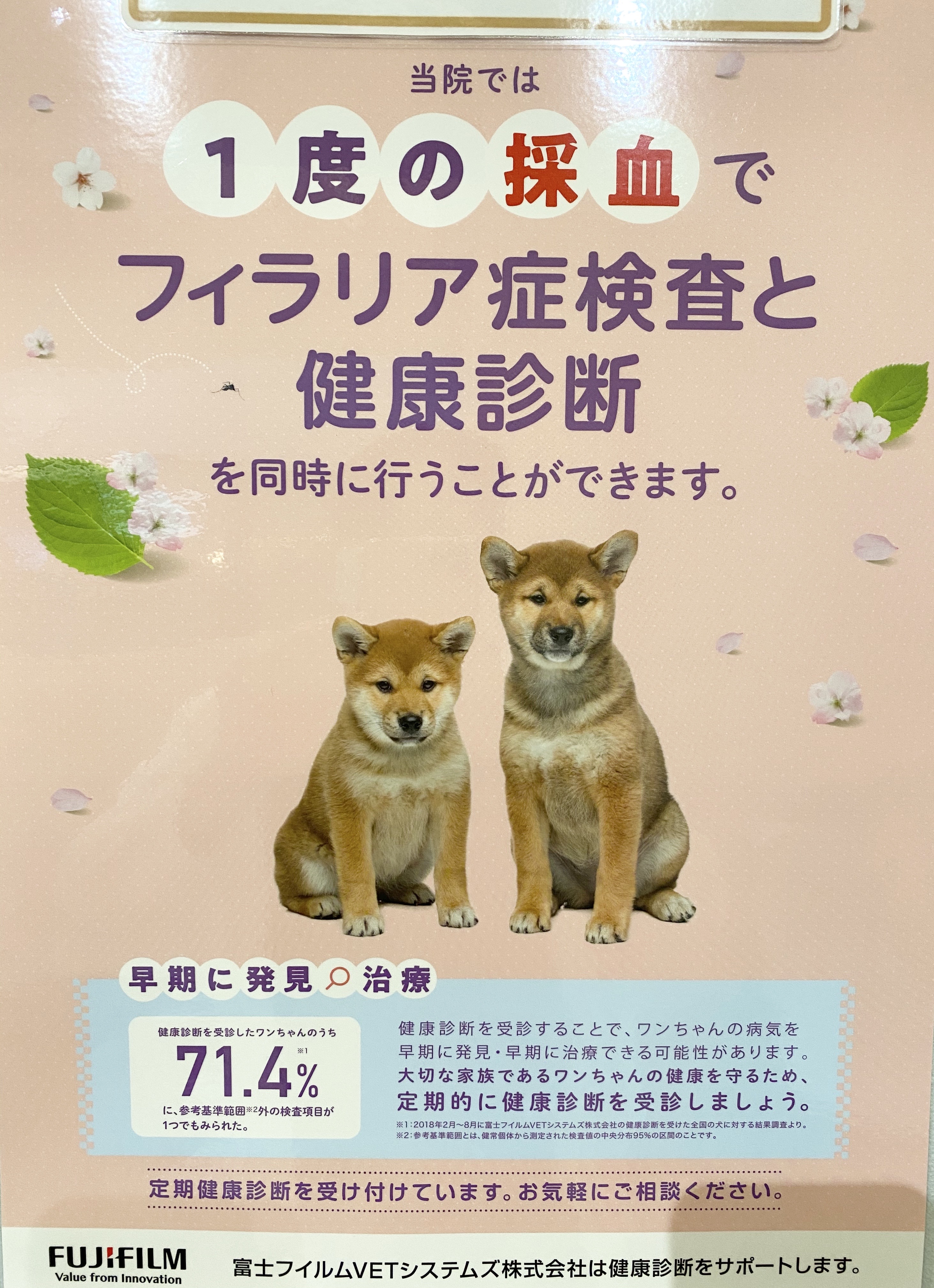 一度の採決でフィラリア症検査と健康診断