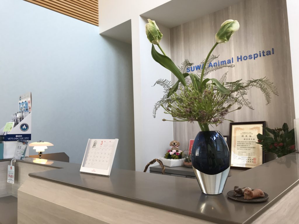 すわ動物病院の受付