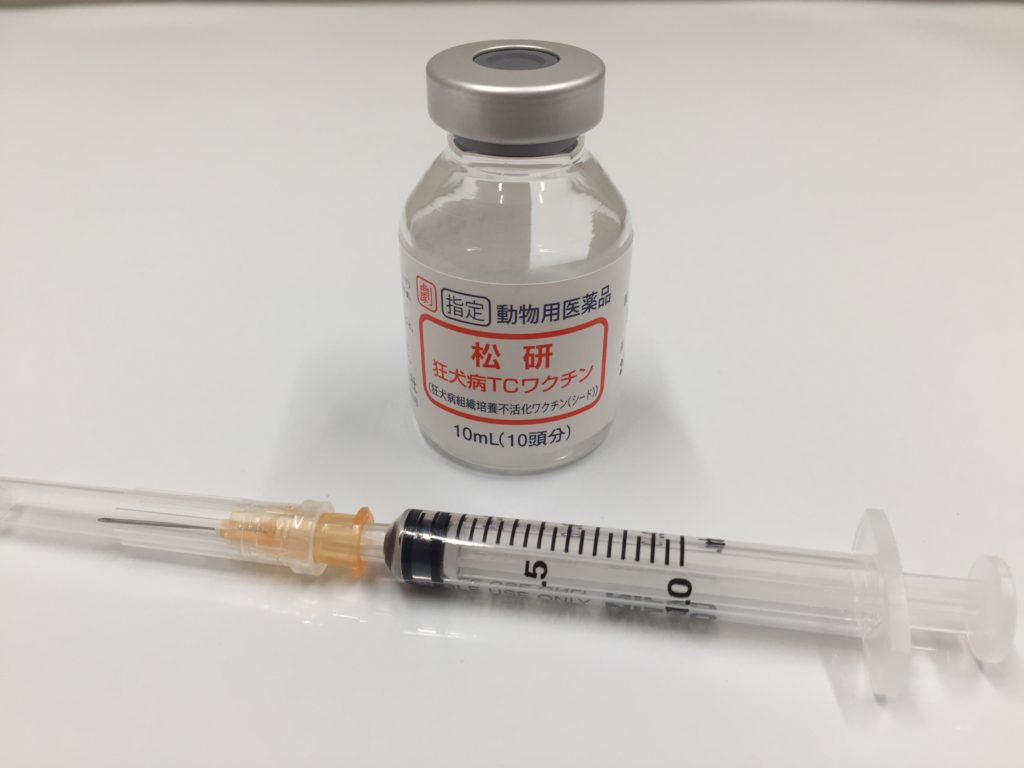 狂犬病の注射