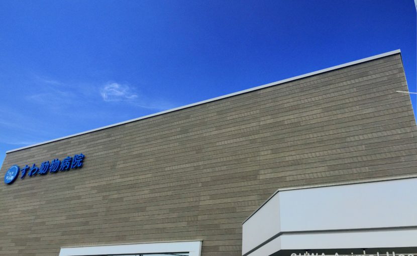 すわ動物病院と空