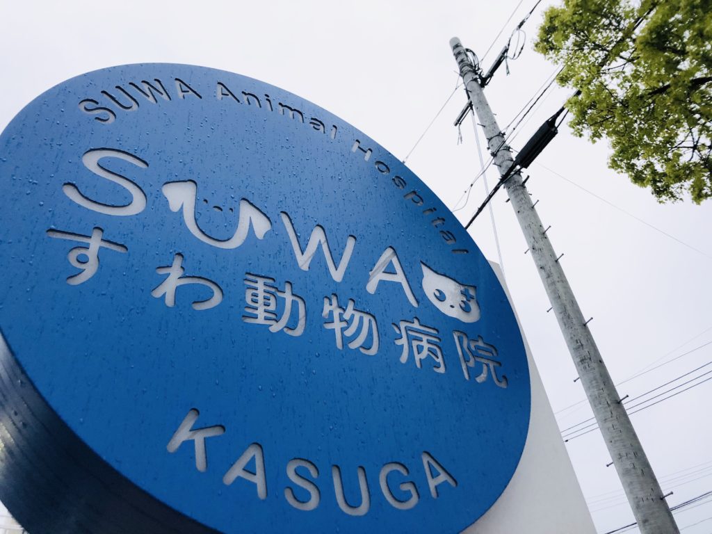 すわ動物病院の看板