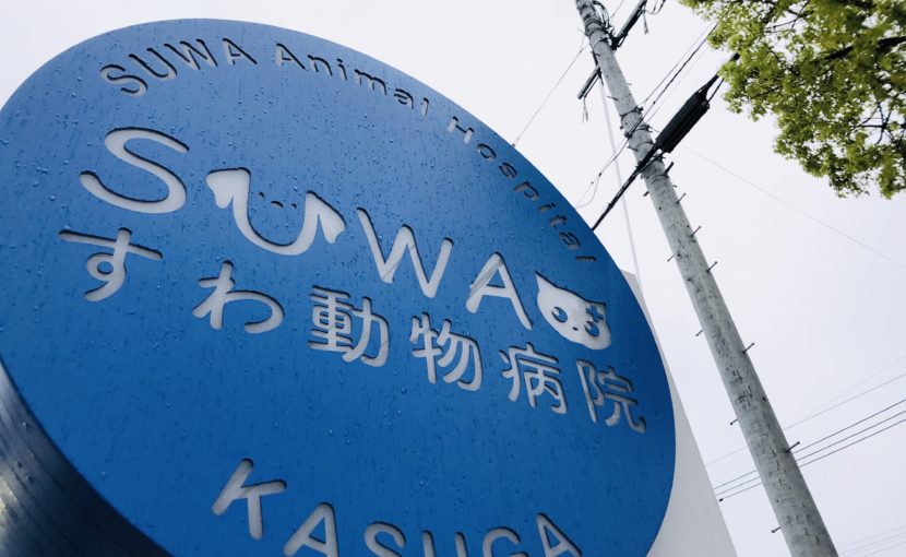 すわ動物病院の看板