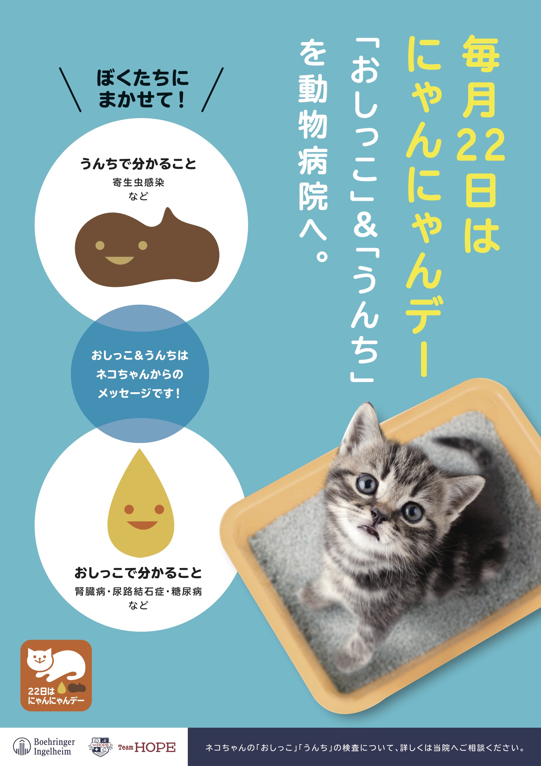 毎月22日はにゃんにゃんデー
