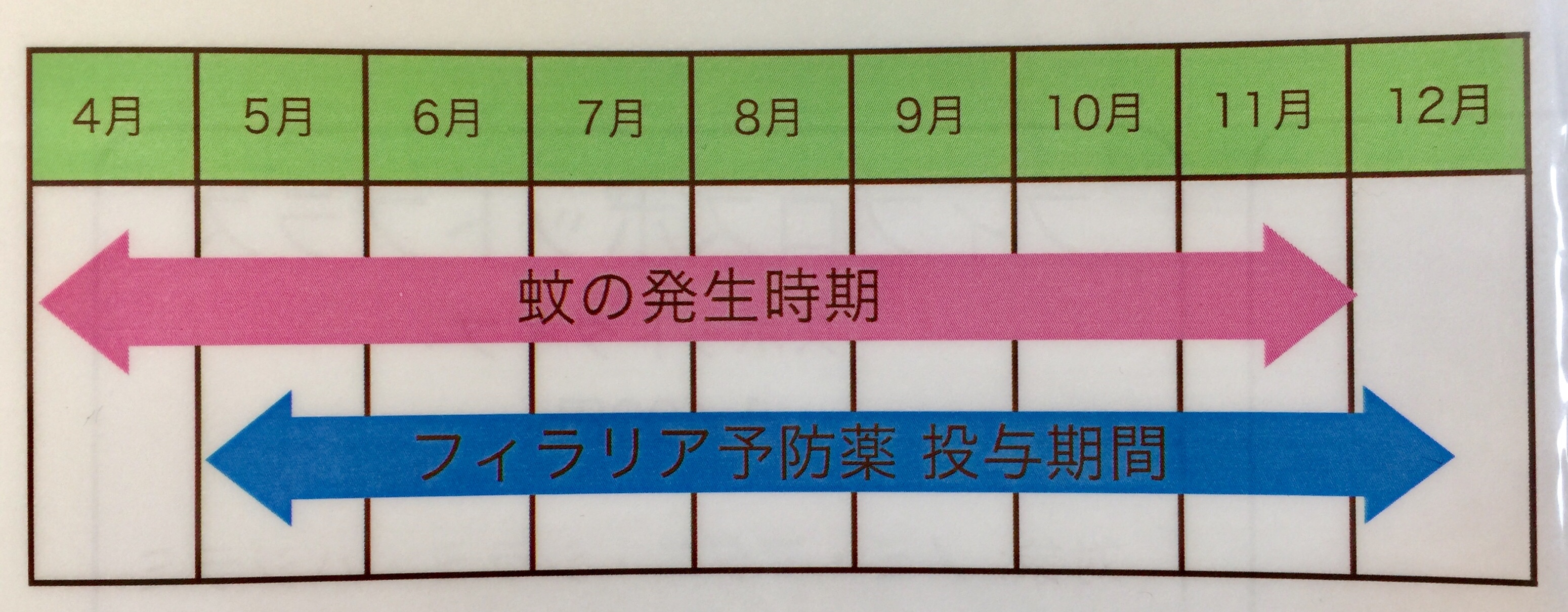 フィラリア予防の投与期間