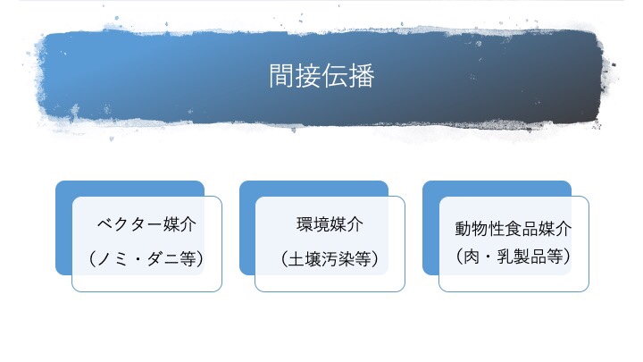 人獣共通感染症の間接伝播