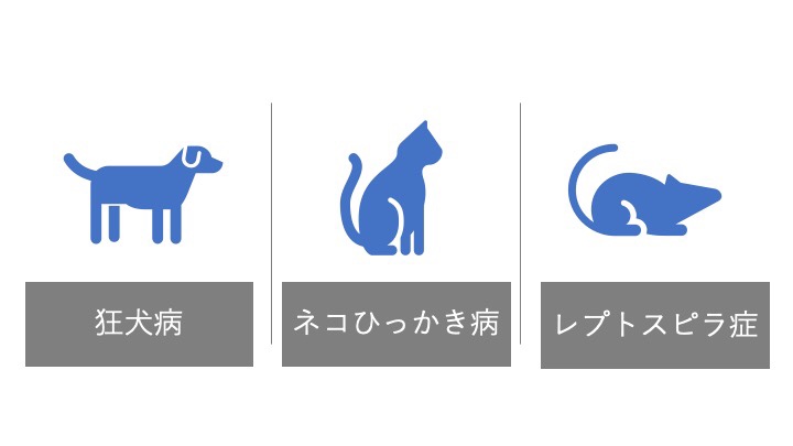 狂犬病、ネコひっかき病、レプトスピラ症