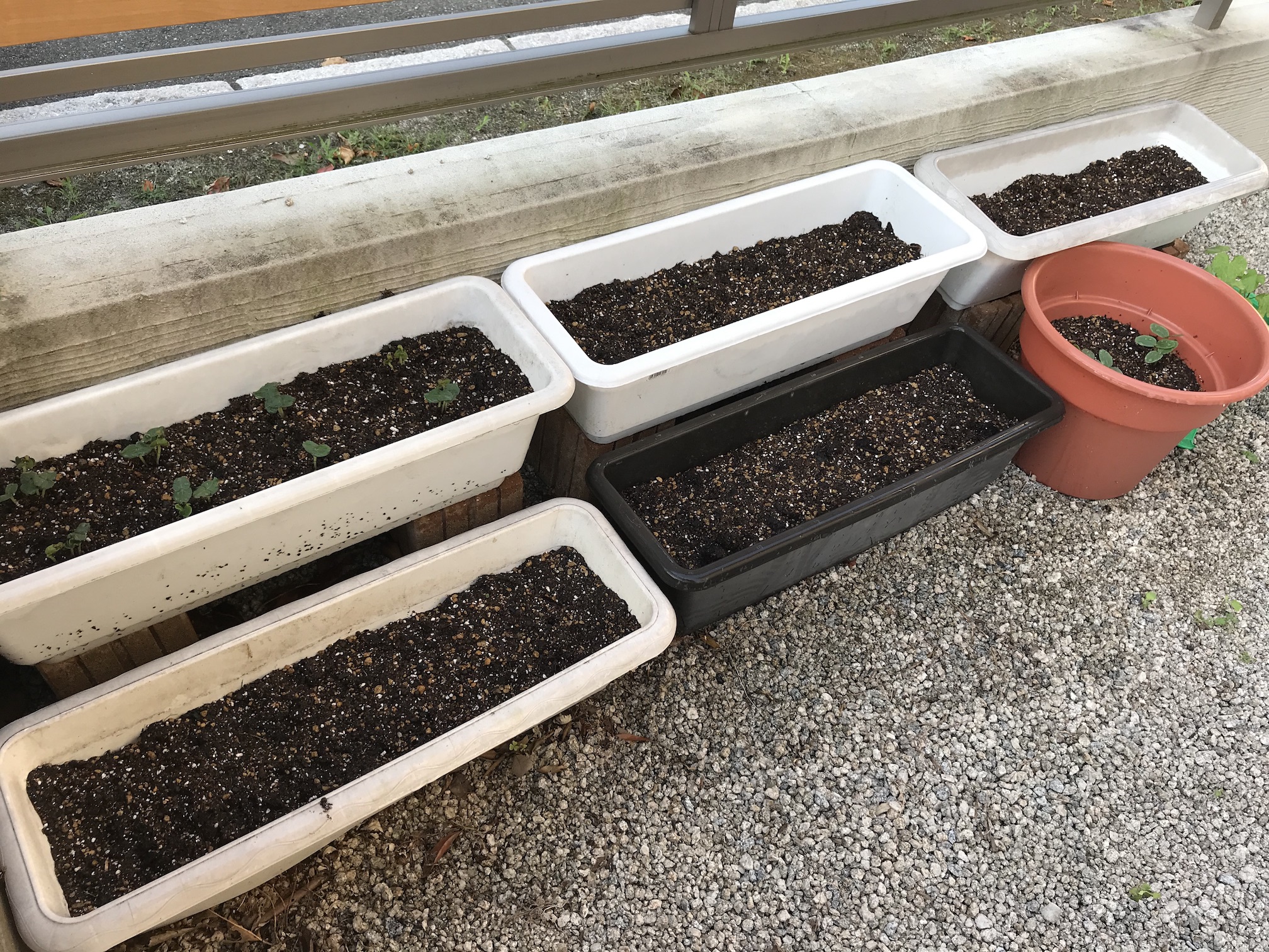 植物のプランター