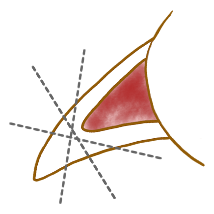 犬の場合の爪切りのイラスト