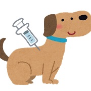 注射をされている犬