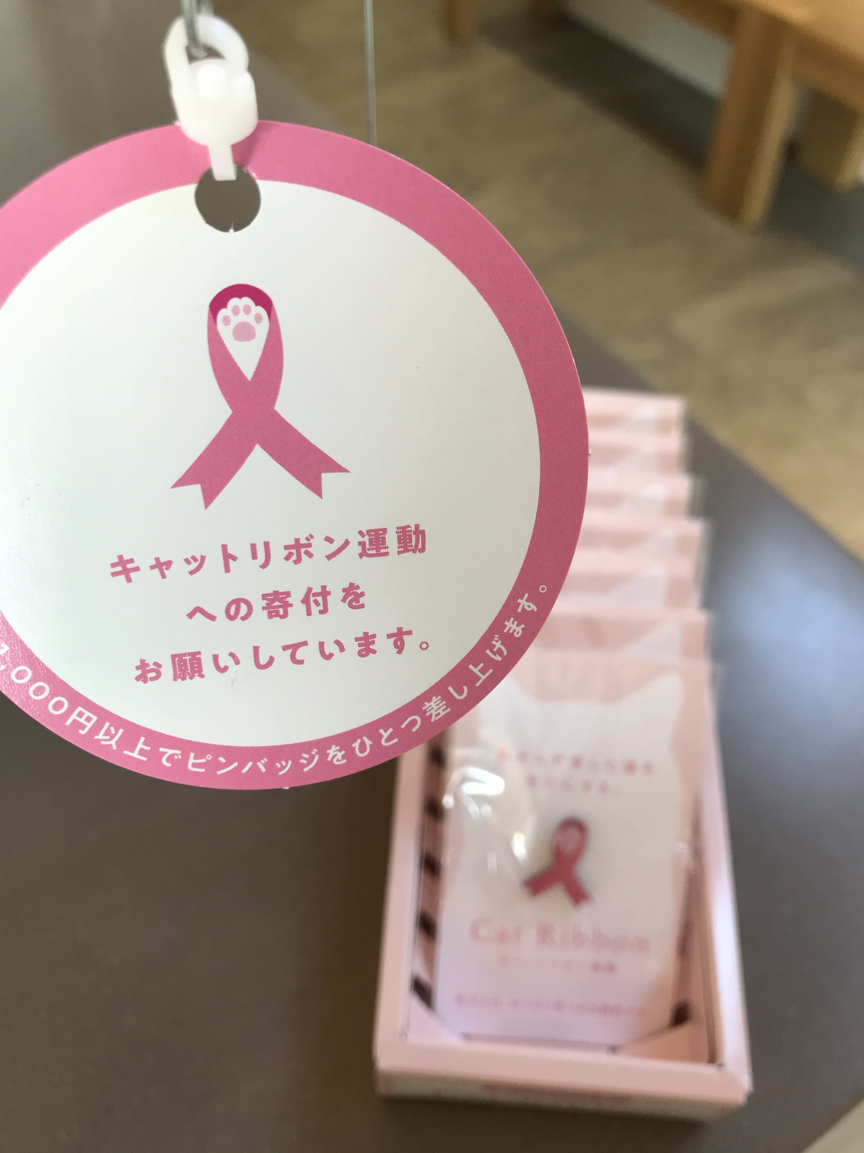 キャットリボン運動