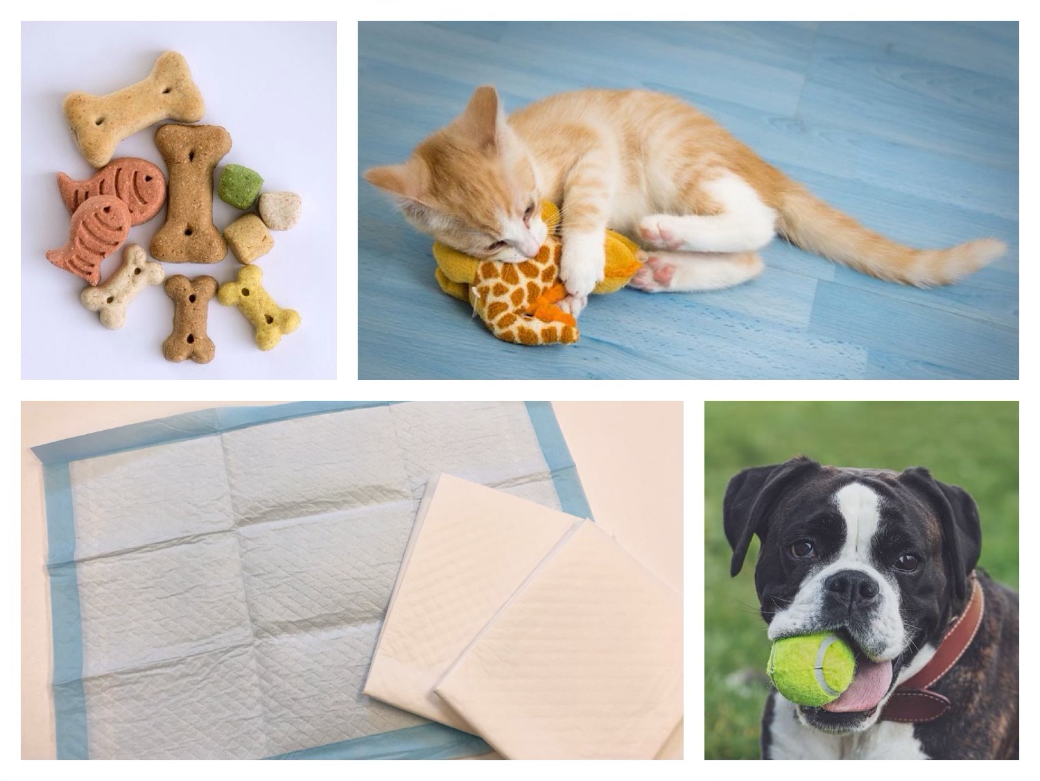 ボール、硬貨、ペットシーツ、ぬいぐるみ、サイズの大きいおやつ類