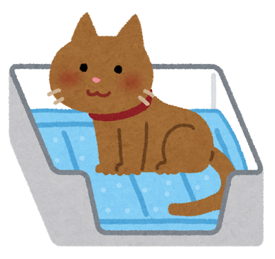 トイレに入っている猫