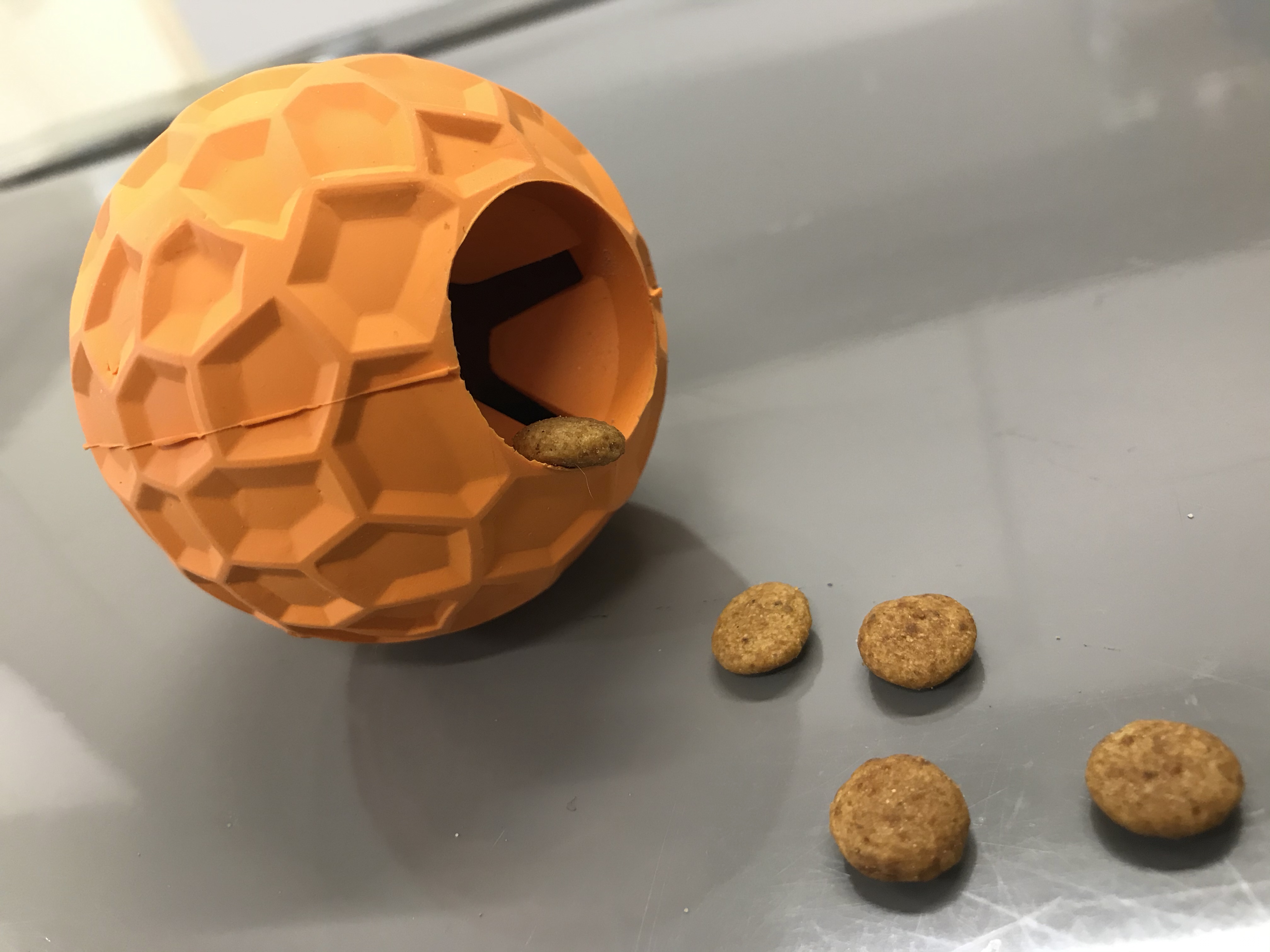 ドッグフードが入っている知育玩具