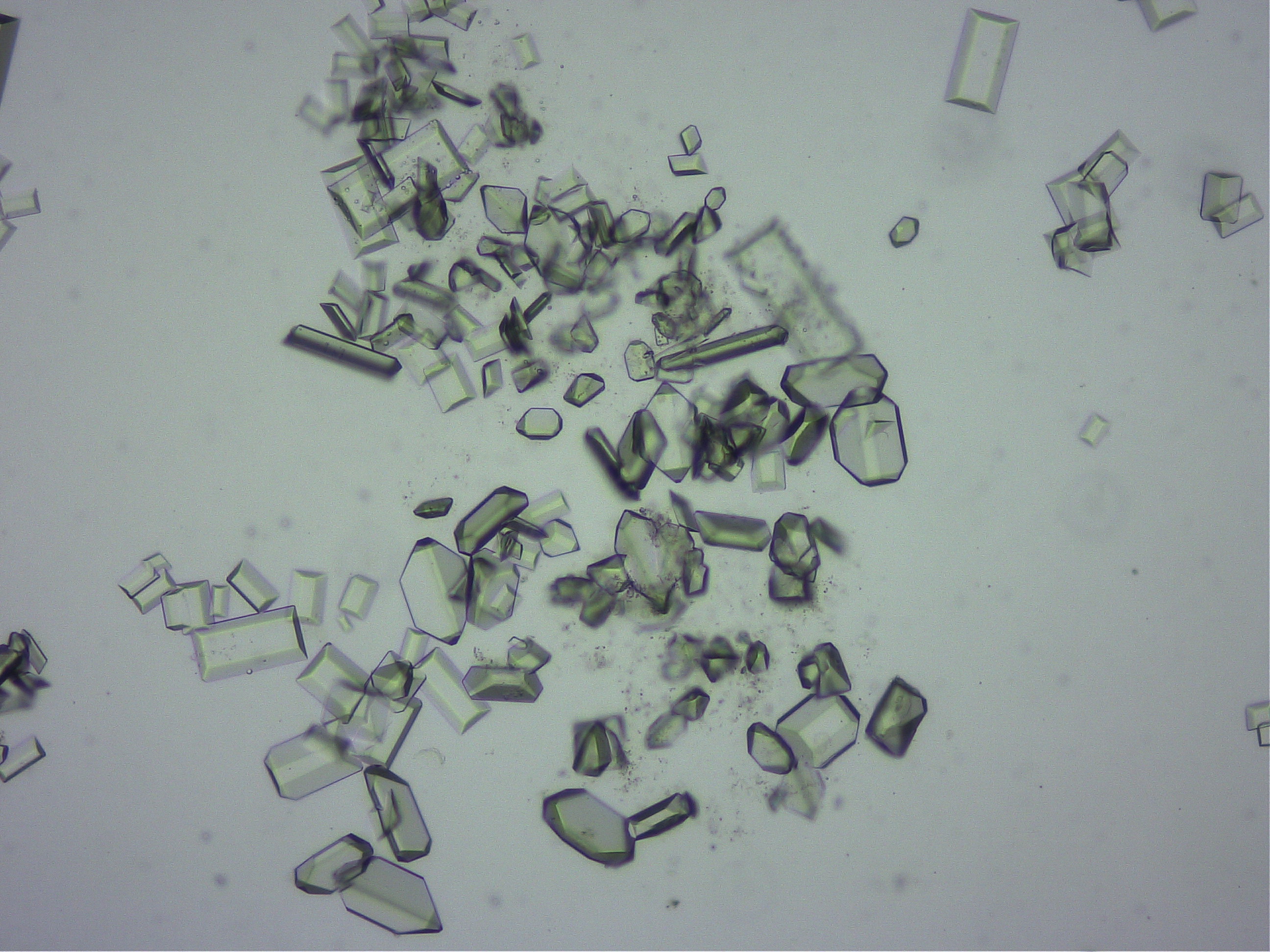 ストルバイト結晶