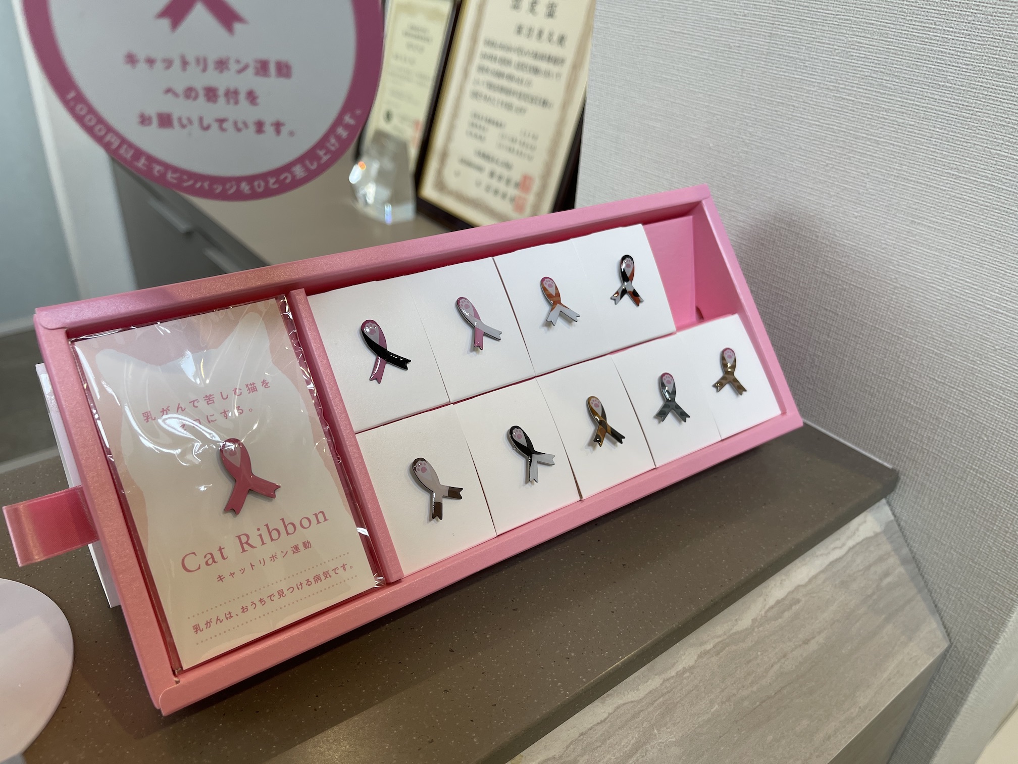 キャットリボン運動のピンバッジ