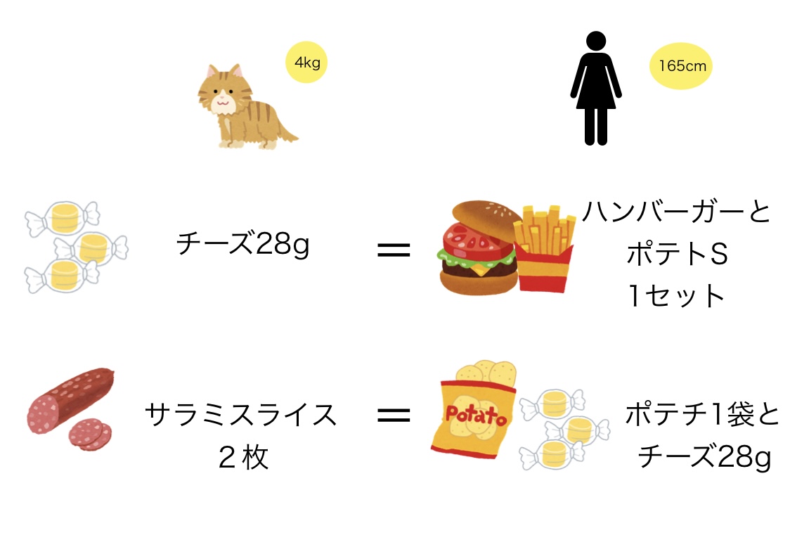 猫のおやつを人間に換算したイラスト