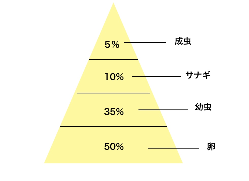 成虫、サナギ、幼虫、卵の比率