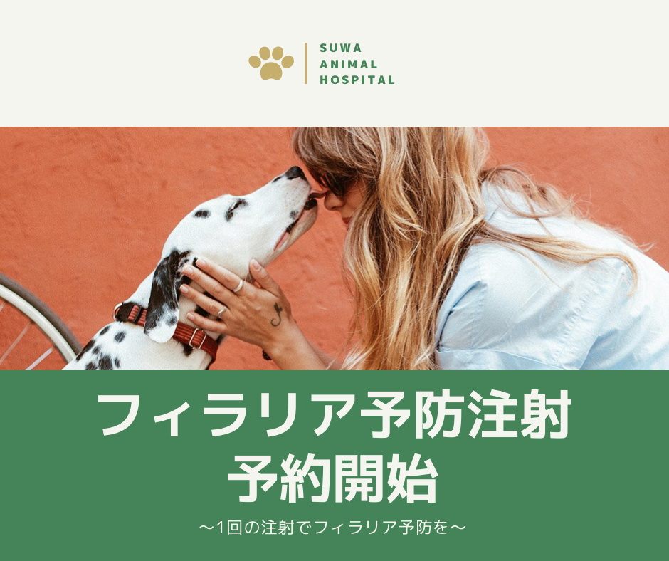 フィラリア予防注射予約開始