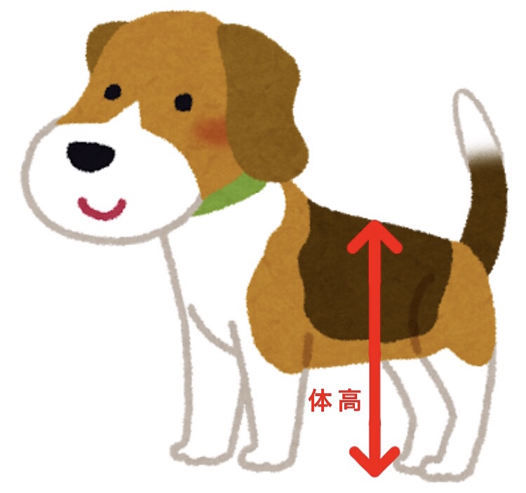 犬の体高のイラスト