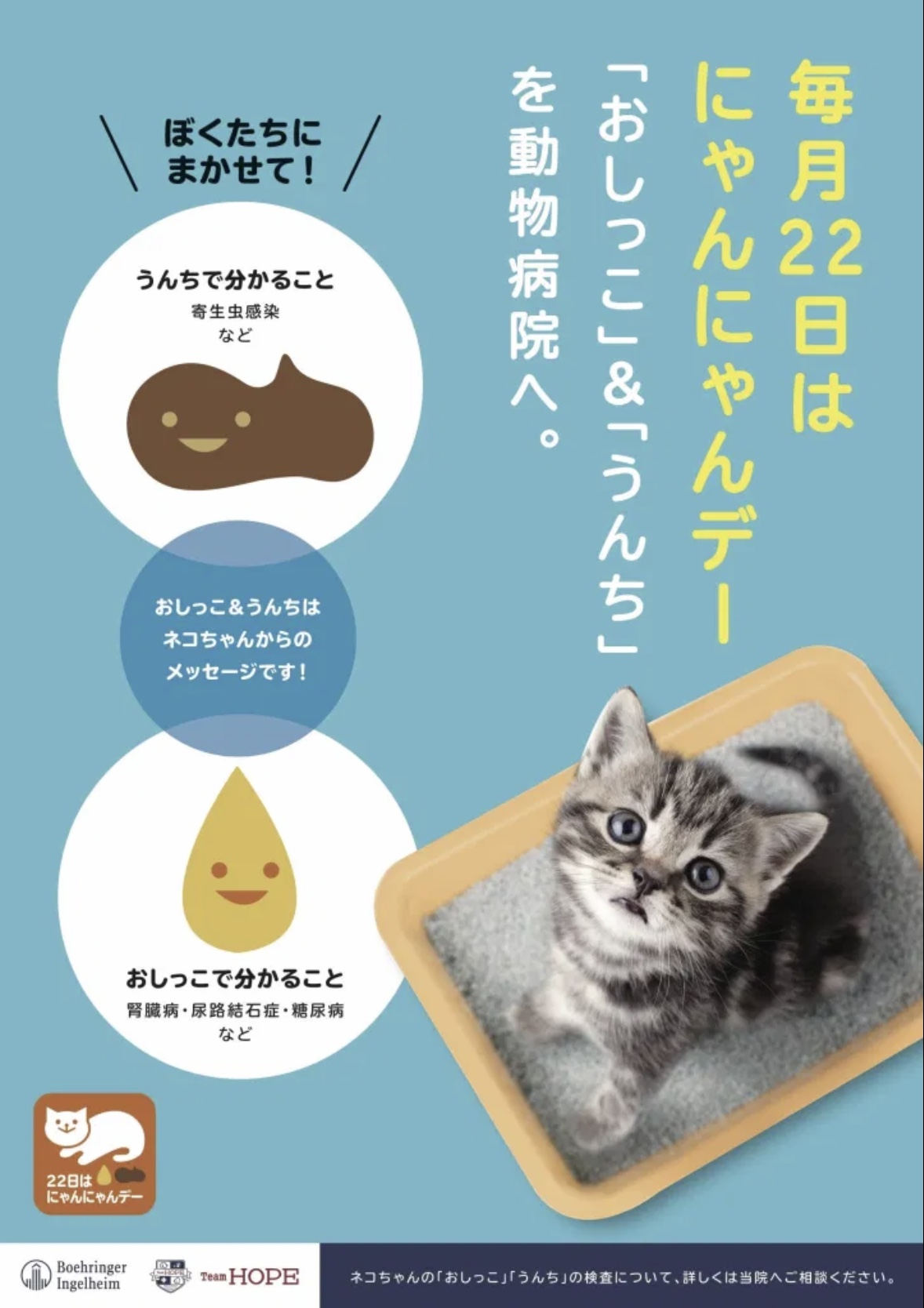 毎日22日はにゃんにゃんデー