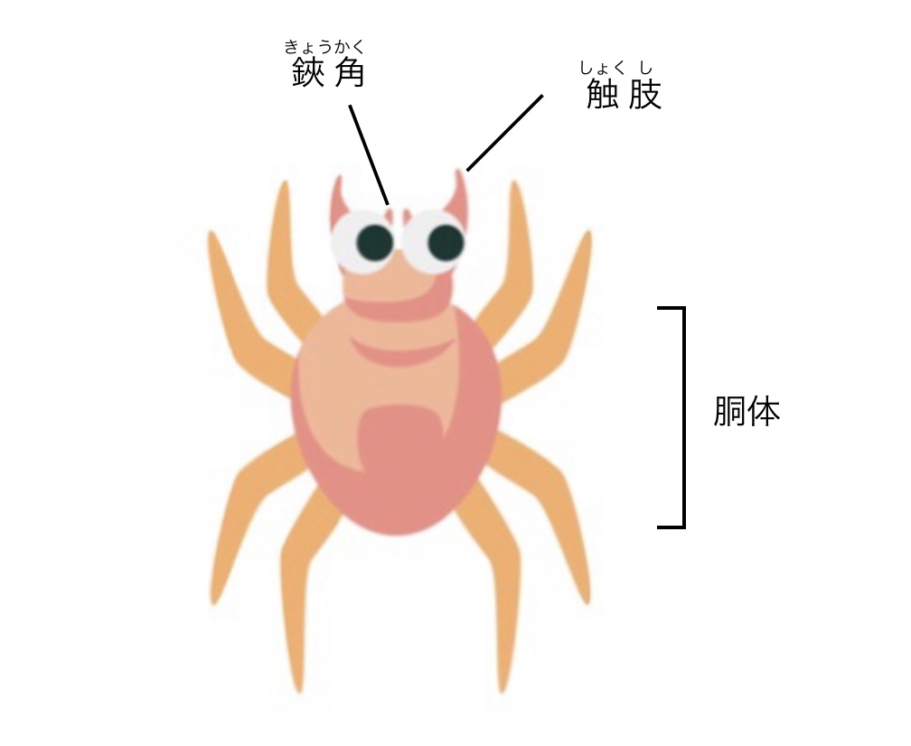 ダニのイラスト