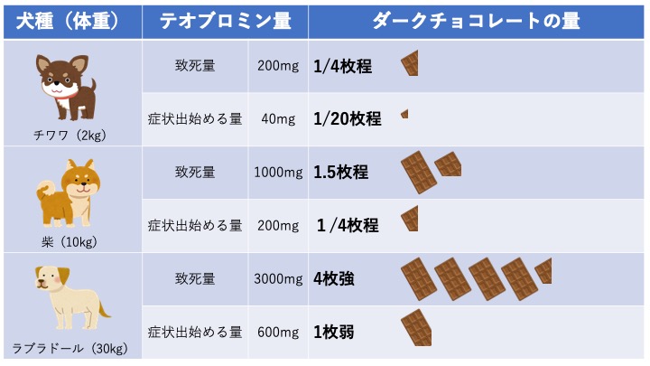 犬のダークチョコレートの場合のテオブロミンの中毒量