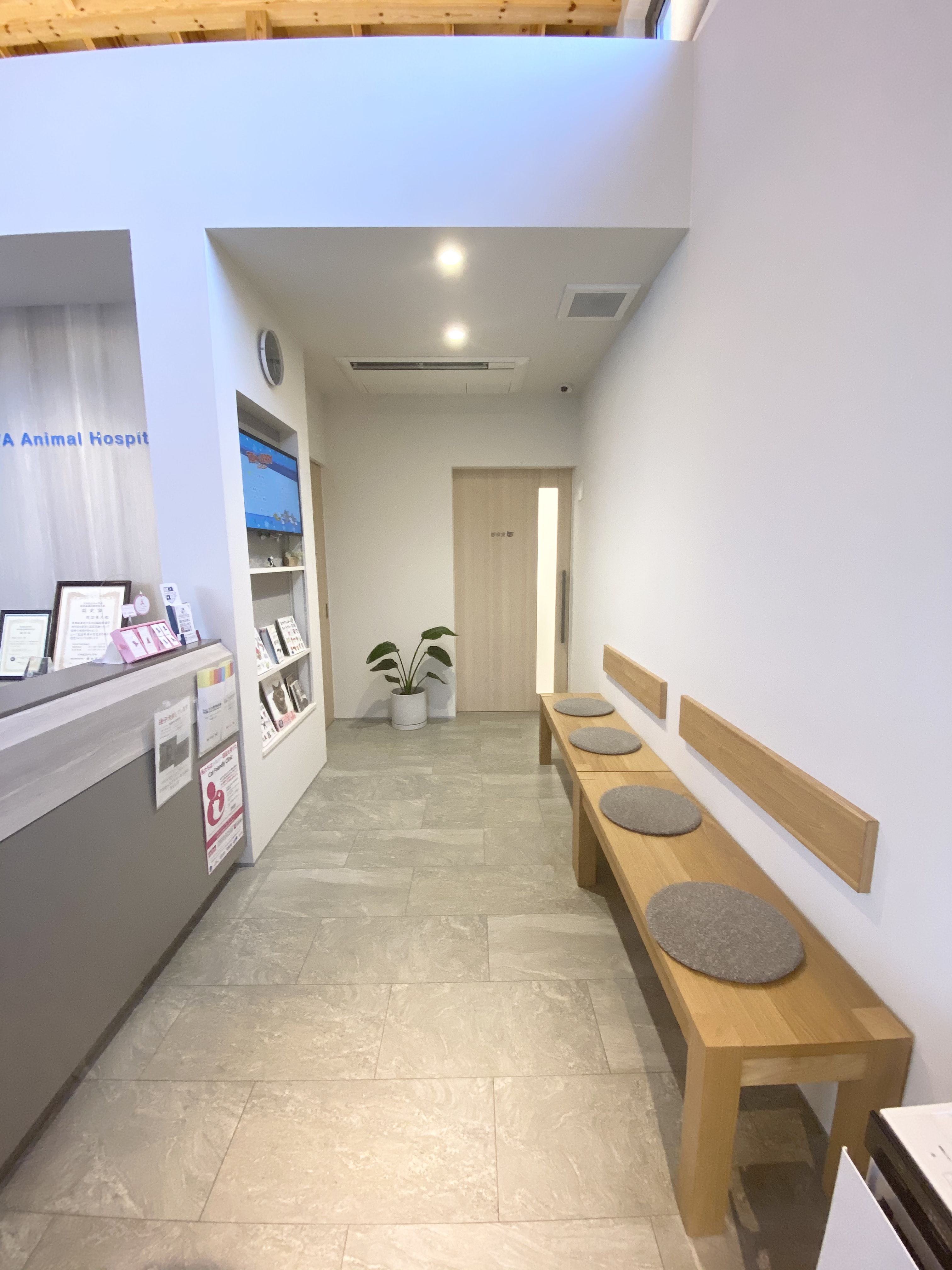 すわ動物病院の猫の待合室
