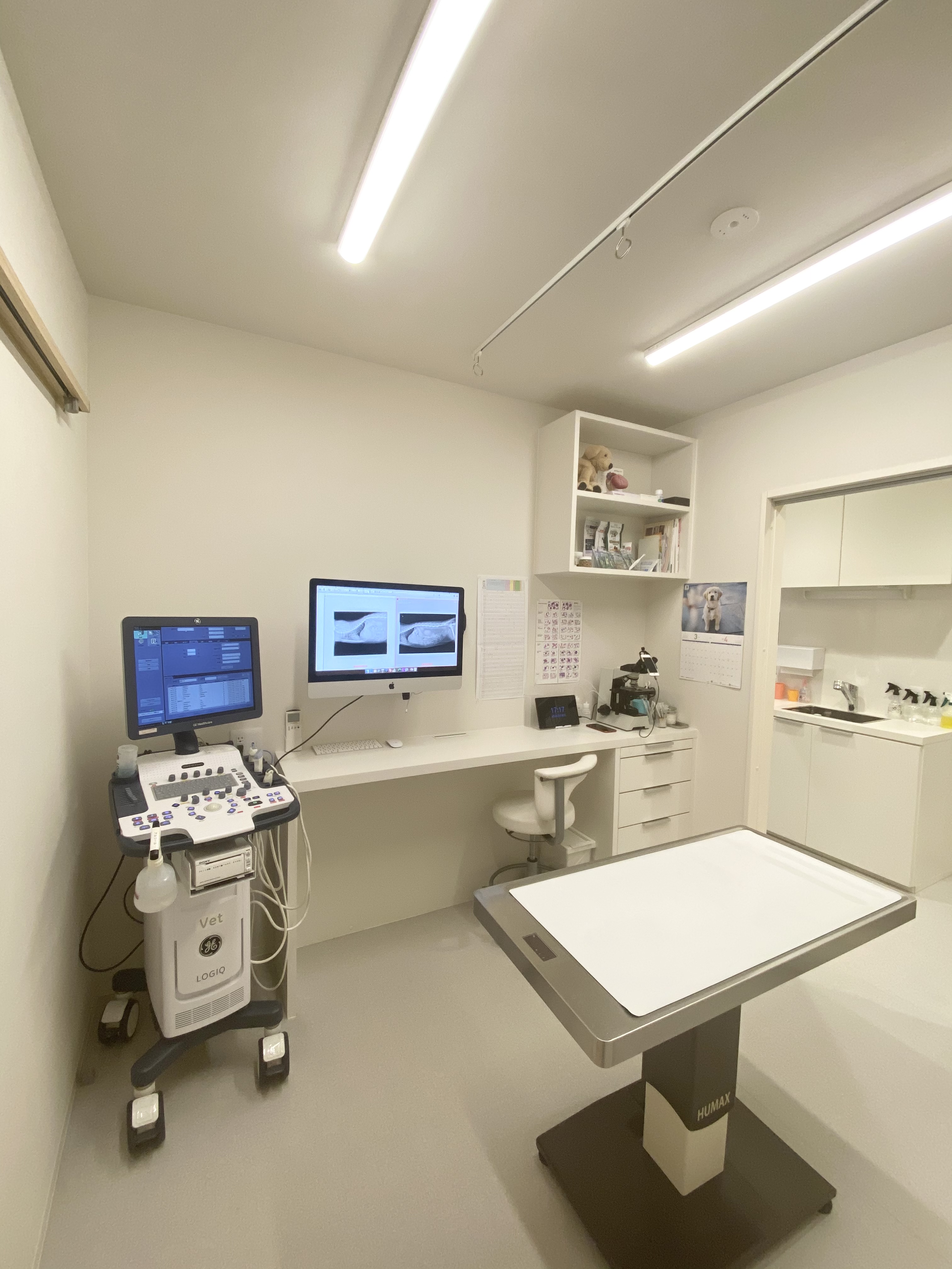 すわ動物病院の猫の診察室