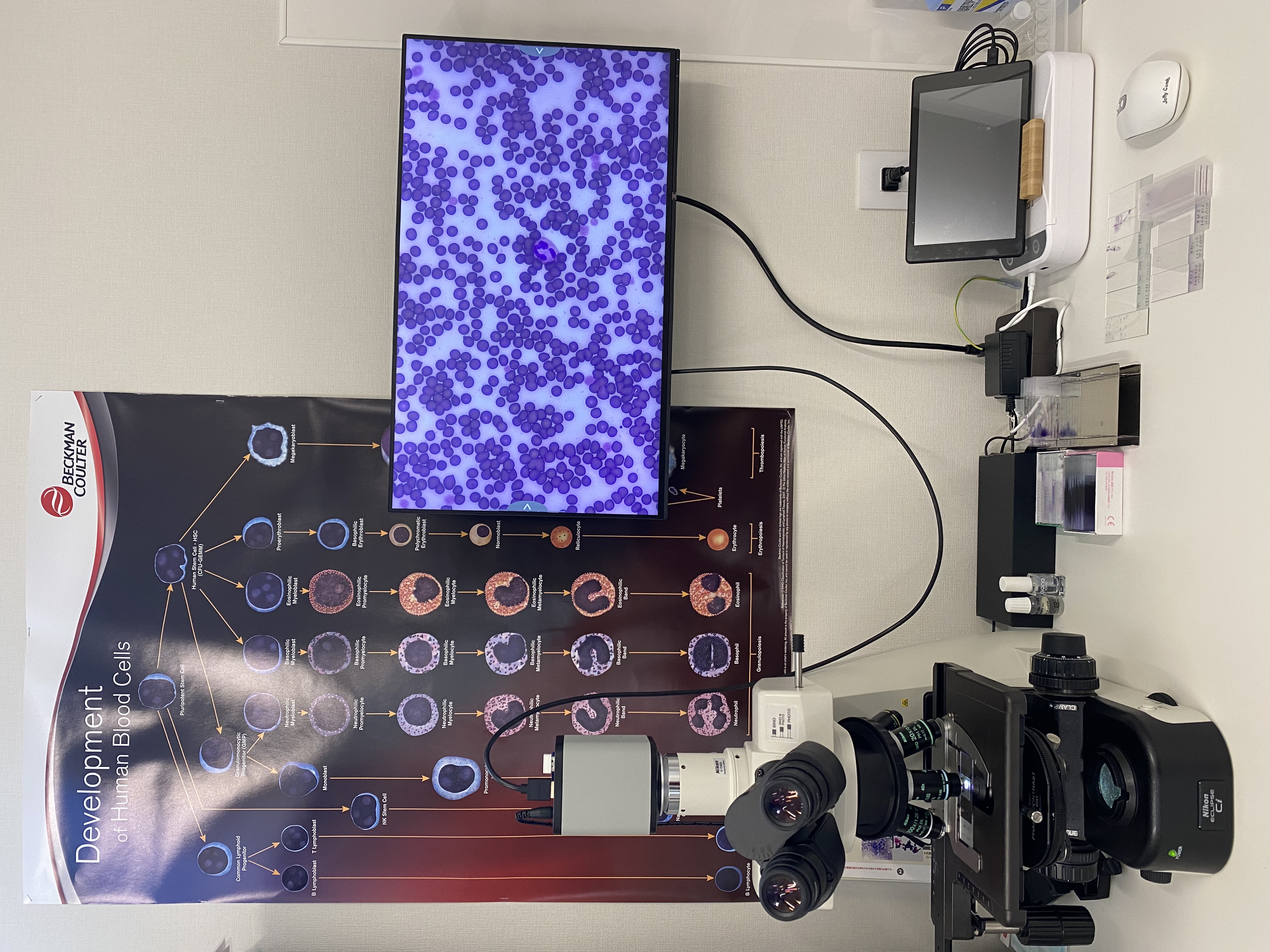 すわ動物病院の顕微鏡検査機器