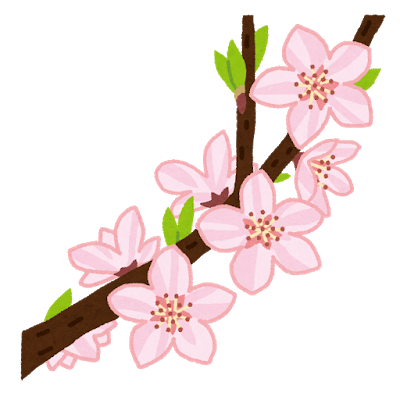 桜のイラスト