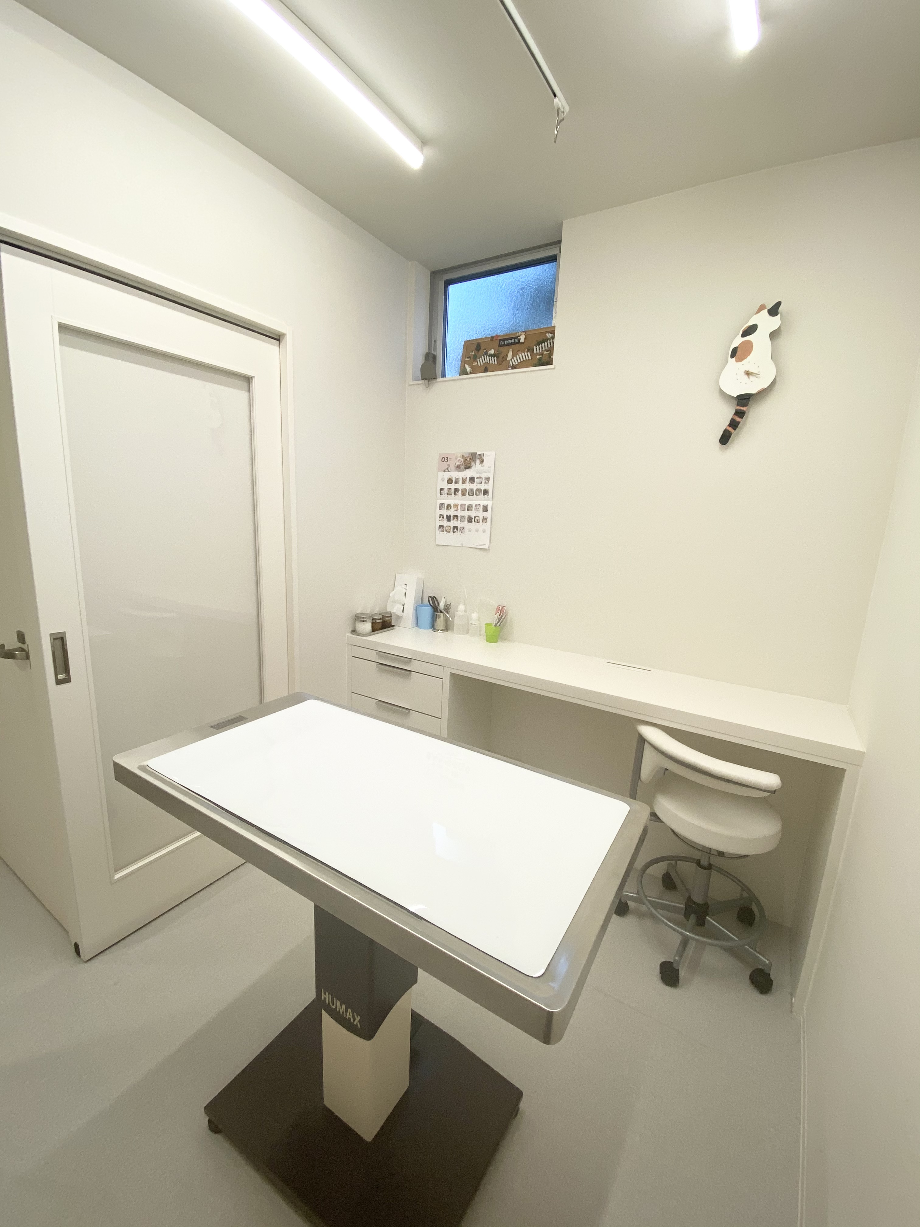 すわ動物病院の猫の診察室