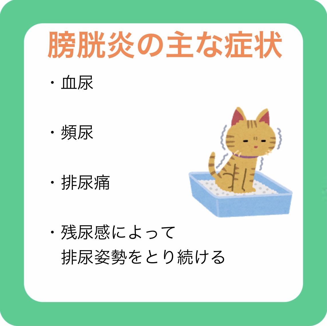 膀胱炎の主な症状