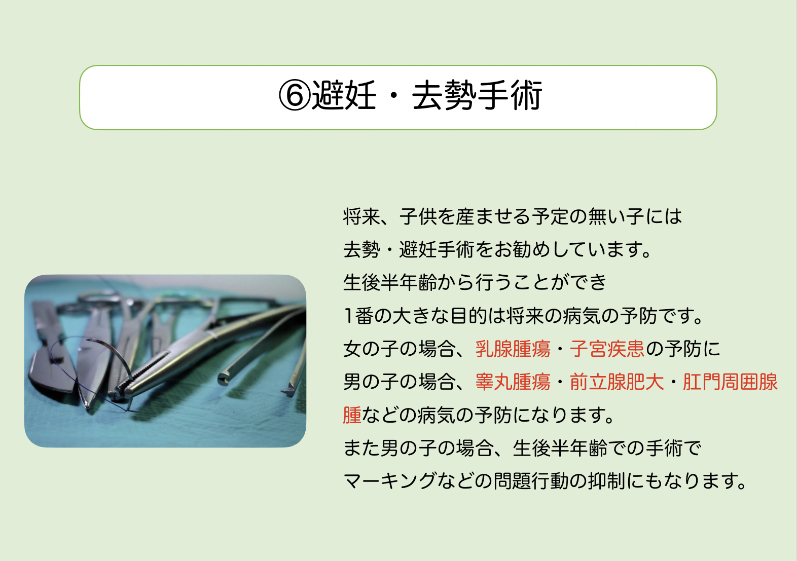 ⑥避妊・去勢手術