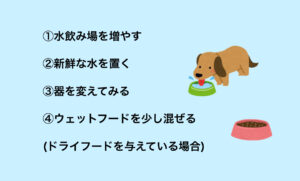 飲水量の増やし方
